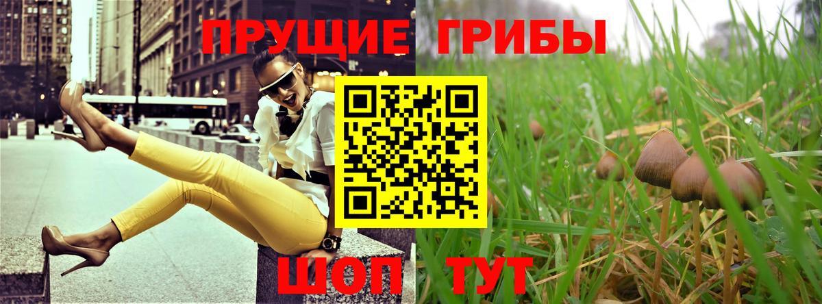 Галлюциногенные грибы Cubensis Гусиноозёрск