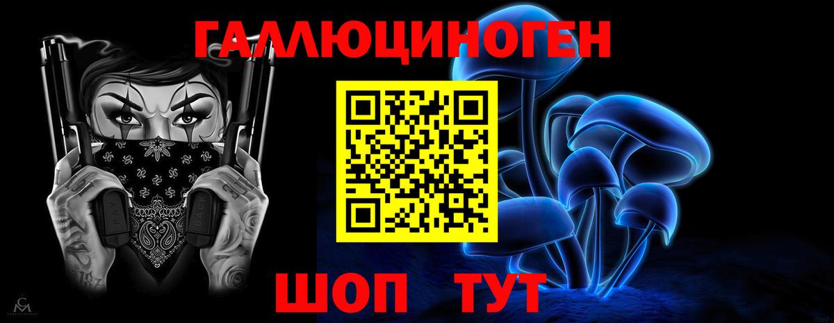 Гусиноозёрск  Псилоцибиновые грибы Magic Shrooms  магазин  наркотиков  Вход с VPN 